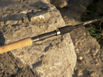 Giants Fishing Deluxe Feeder Bot MH 3,6m 100g